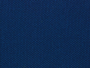 TRAY_BL