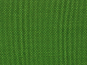 TRAY_GR